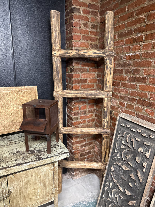 Large Ladder